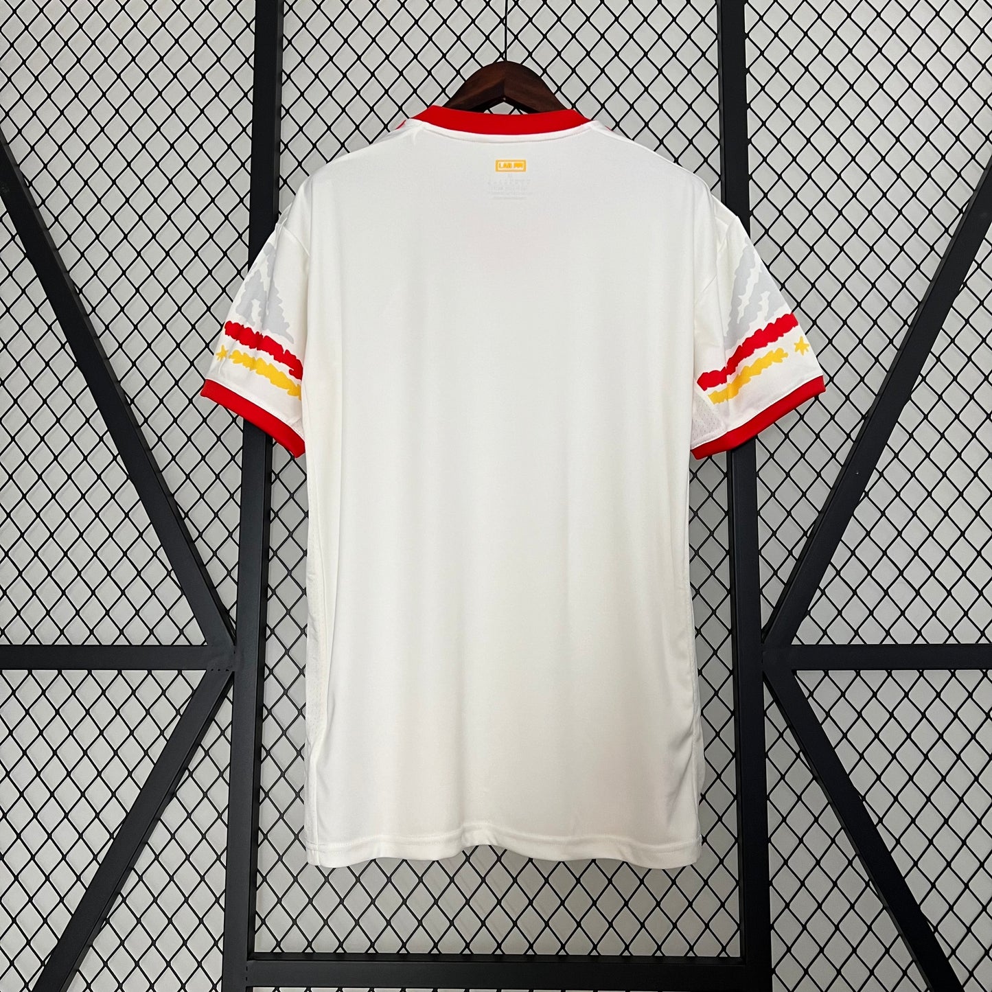 23-24 Internacional Special Edition detail