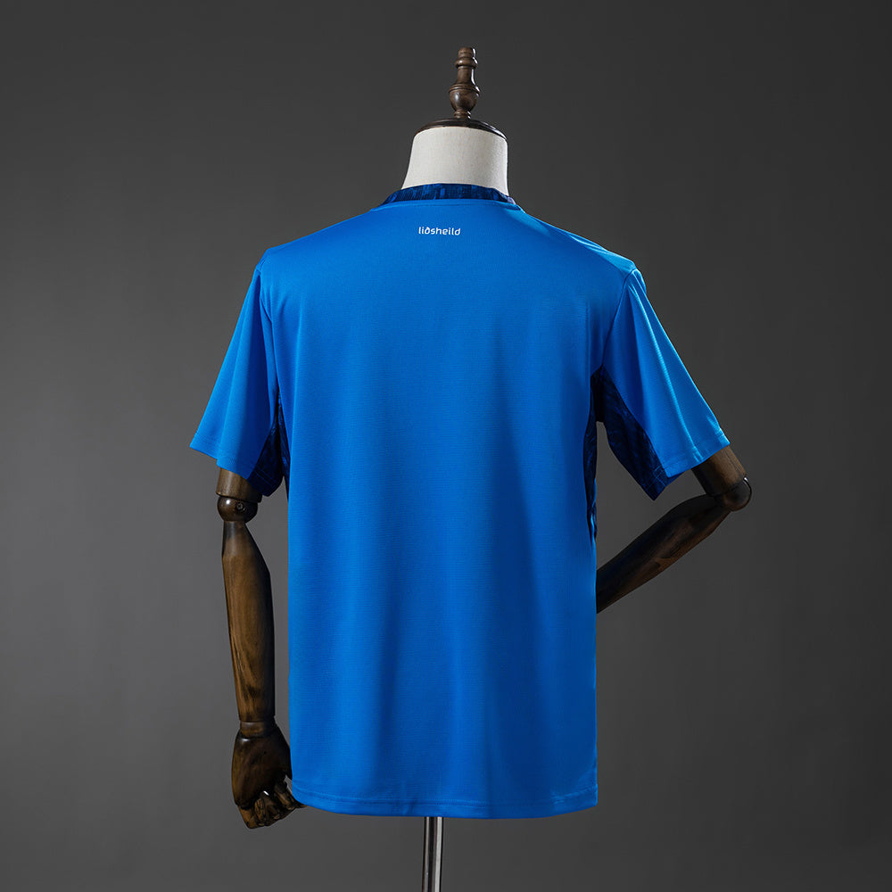 Iceland 2026 Home Jersey detail