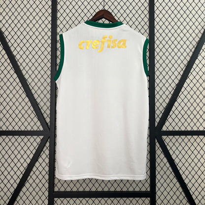 24-25 Vest Palmeiras away detail