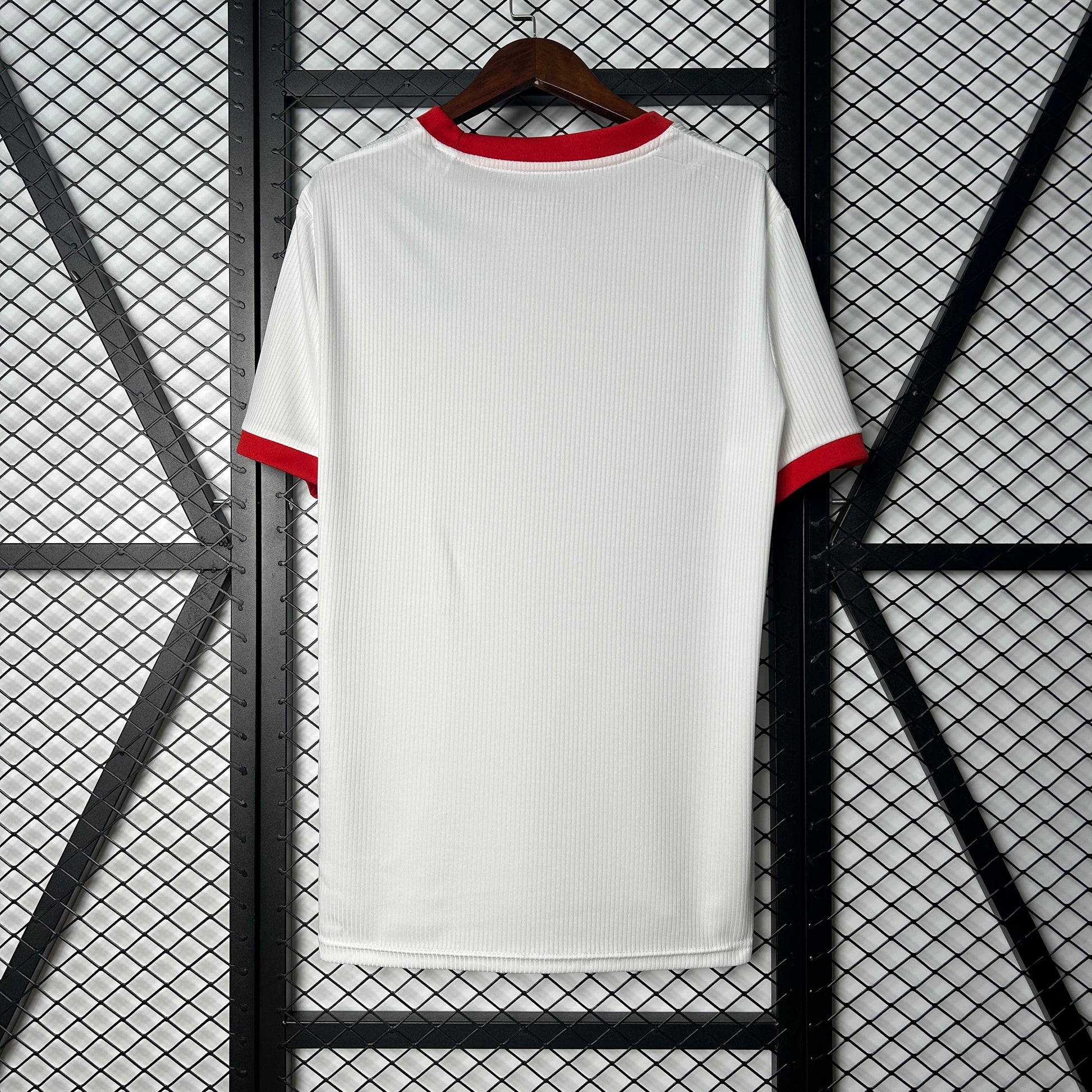 25-26 Benfica Special Edition detail