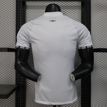 24-25 Player Santos Home