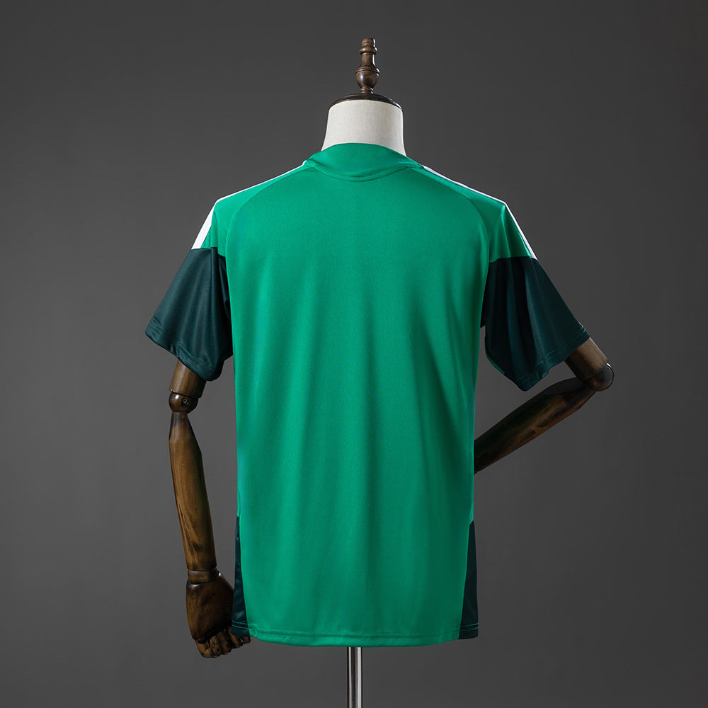 Algeria 2026 Training - Green Jersey detail