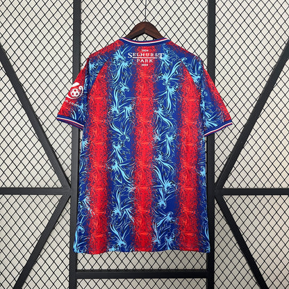 24-25 Crystal Palace Home