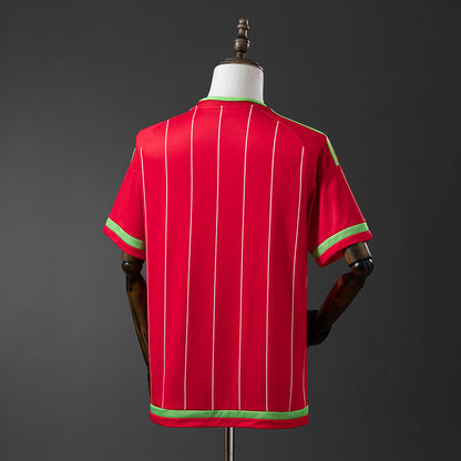 Retro Wales 15-16 home