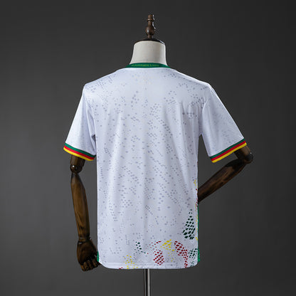 Cameroon 2026 Away Jersey detail