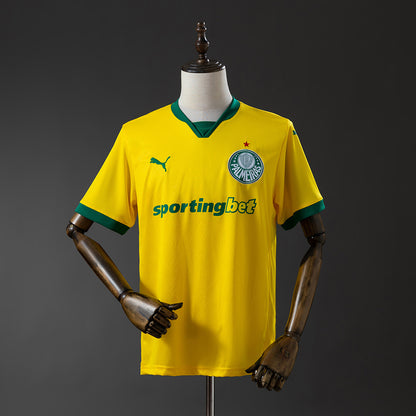 Palmeiras 25-26 Third Away detail