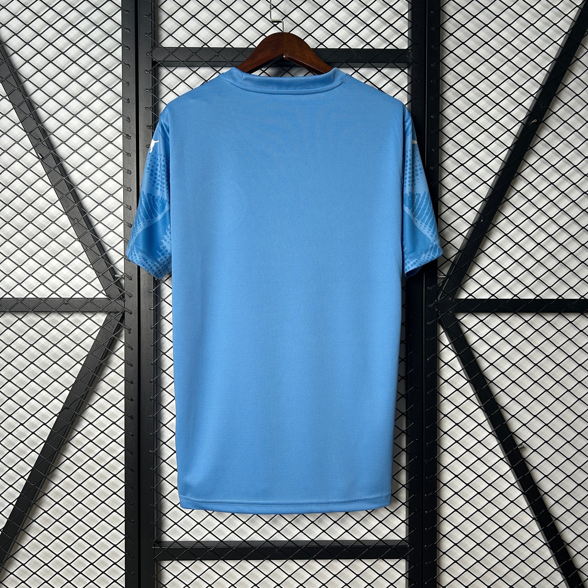25-26 Palmeiras Goalkeeper detail