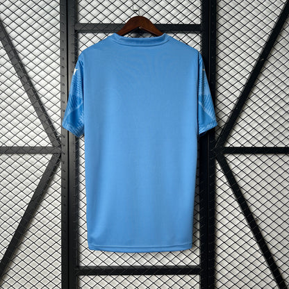 25-26 Palmeiras Goalkeeper detail