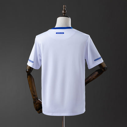 Retro Netherlands 2012 away detail