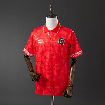 Wales 1990-92 Home Retro Jersey detail