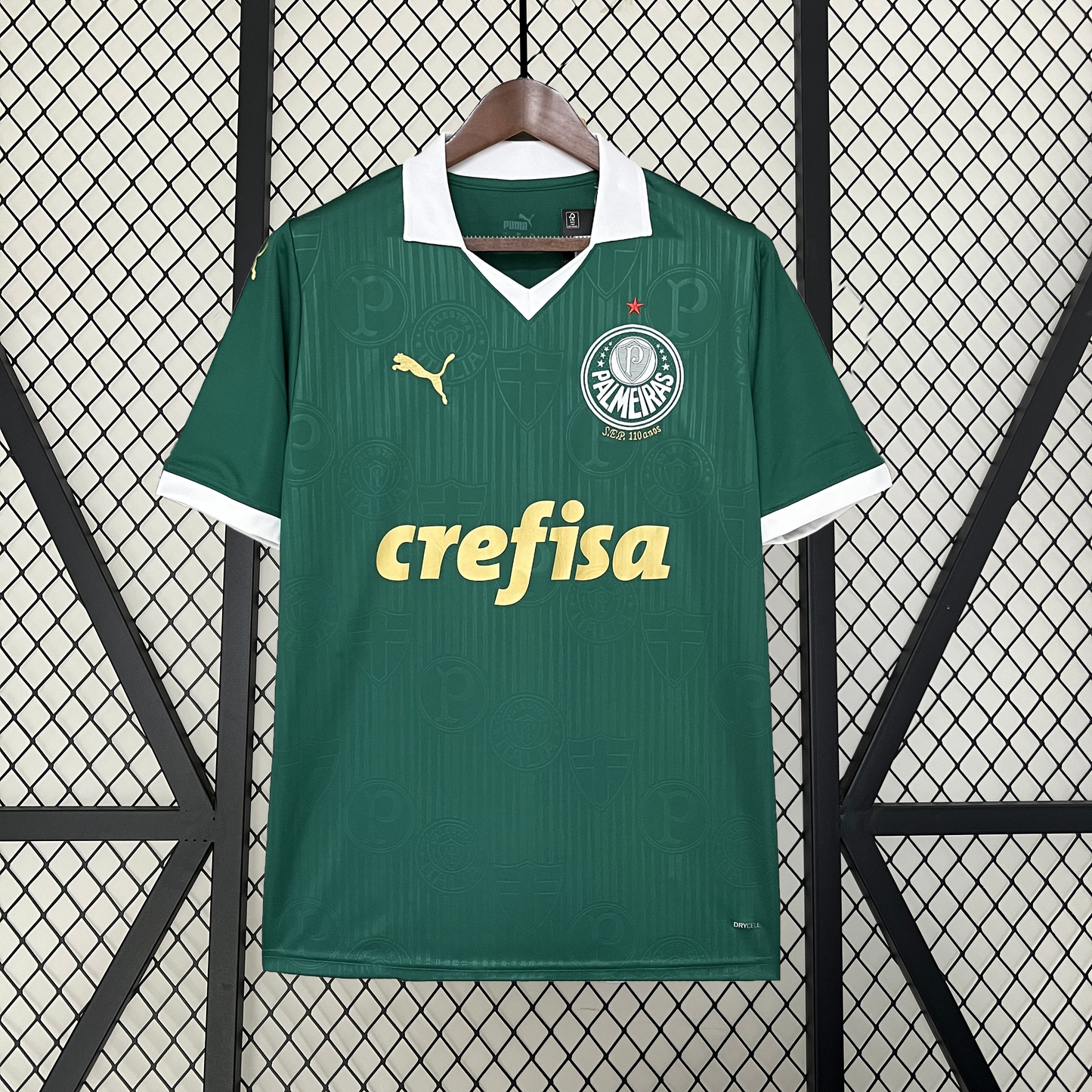 2024-25 Palmeiras home detail