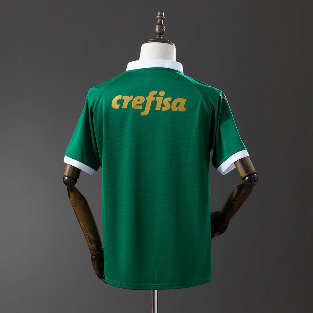 2024-25 Palmeiras home+All sponsors