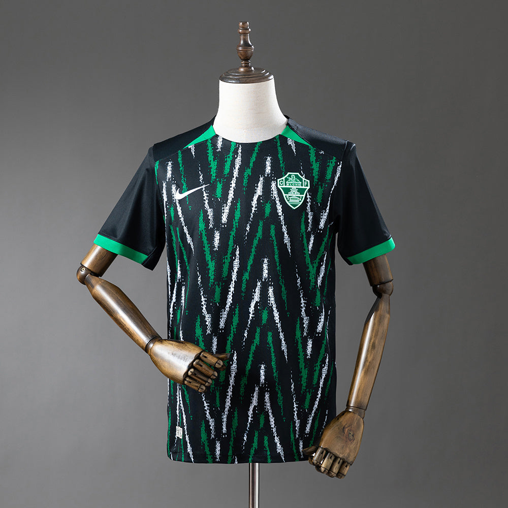 25-26 Elche away detail