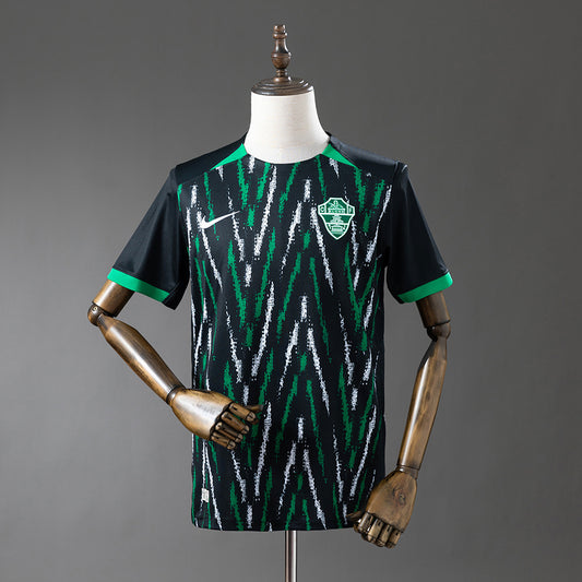 25-26 Elche away detail