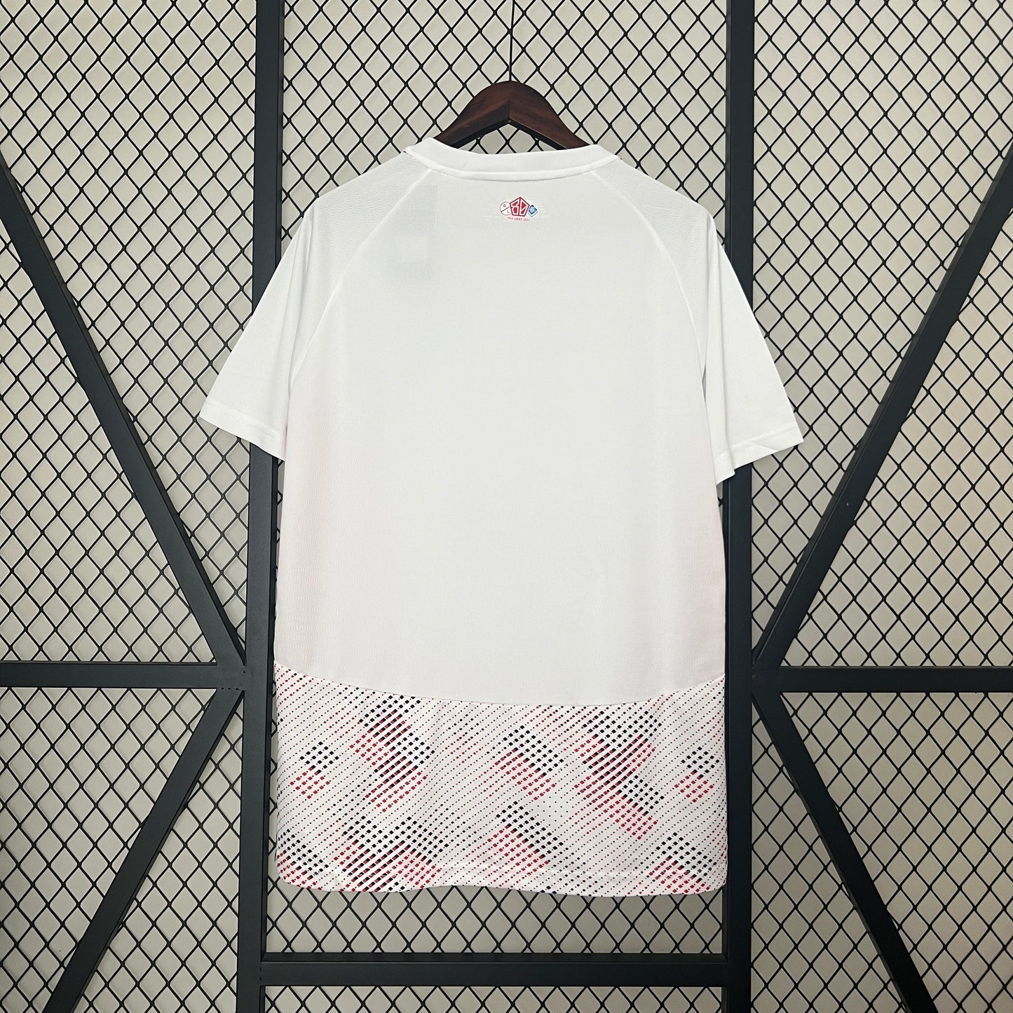 24-25 Lille Away detail