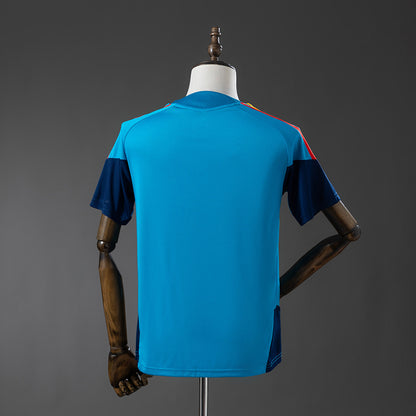 Spain 26-27 Training - Blue Jersey detail