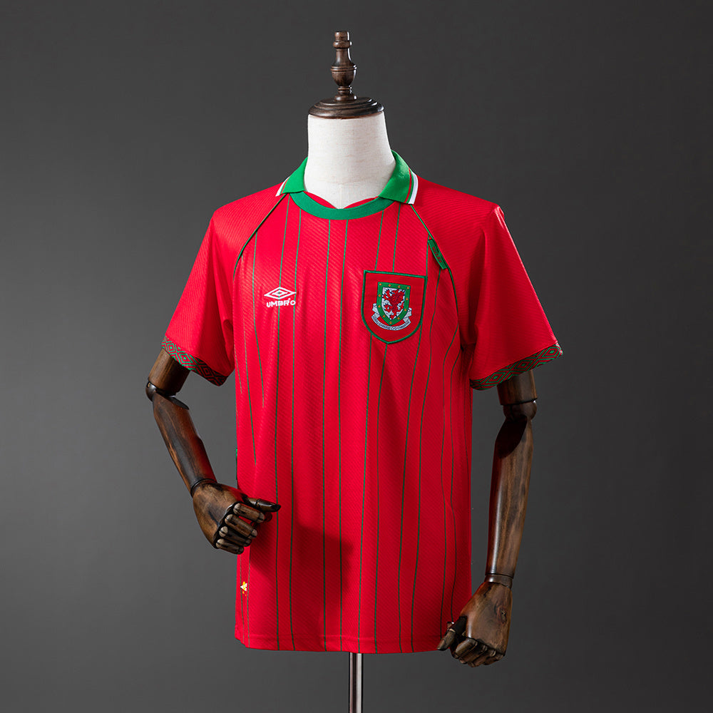 Wales 1994-96 Home Retro Jersey detail