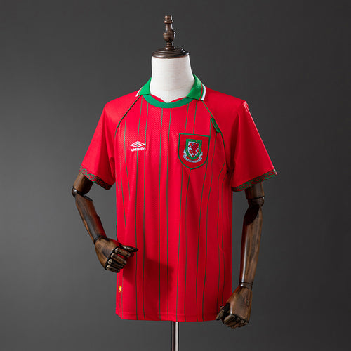 Wales 1994-96 Home Retro Jersey detail