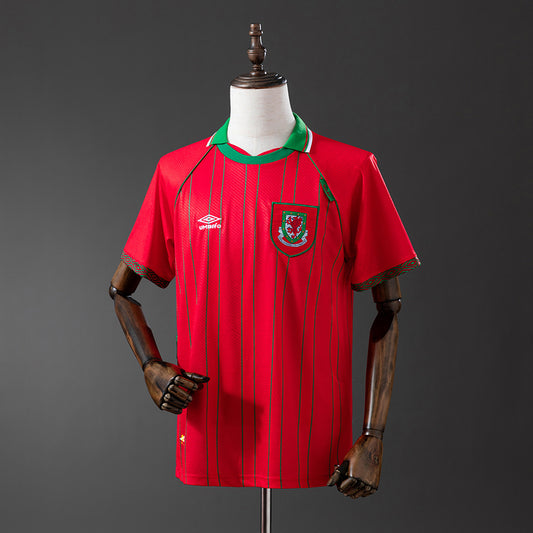 Wales 1994-96 Home Retro Jersey detail