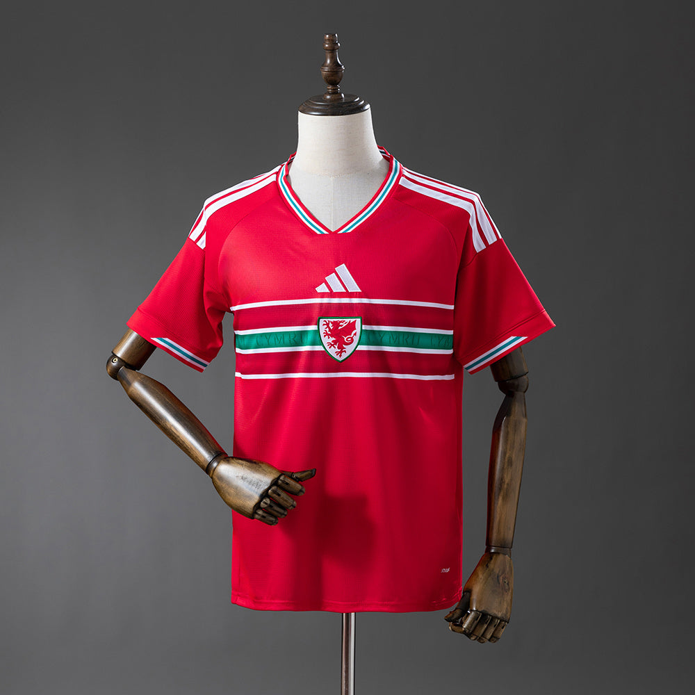 Wales 2026 Home Jersey detail