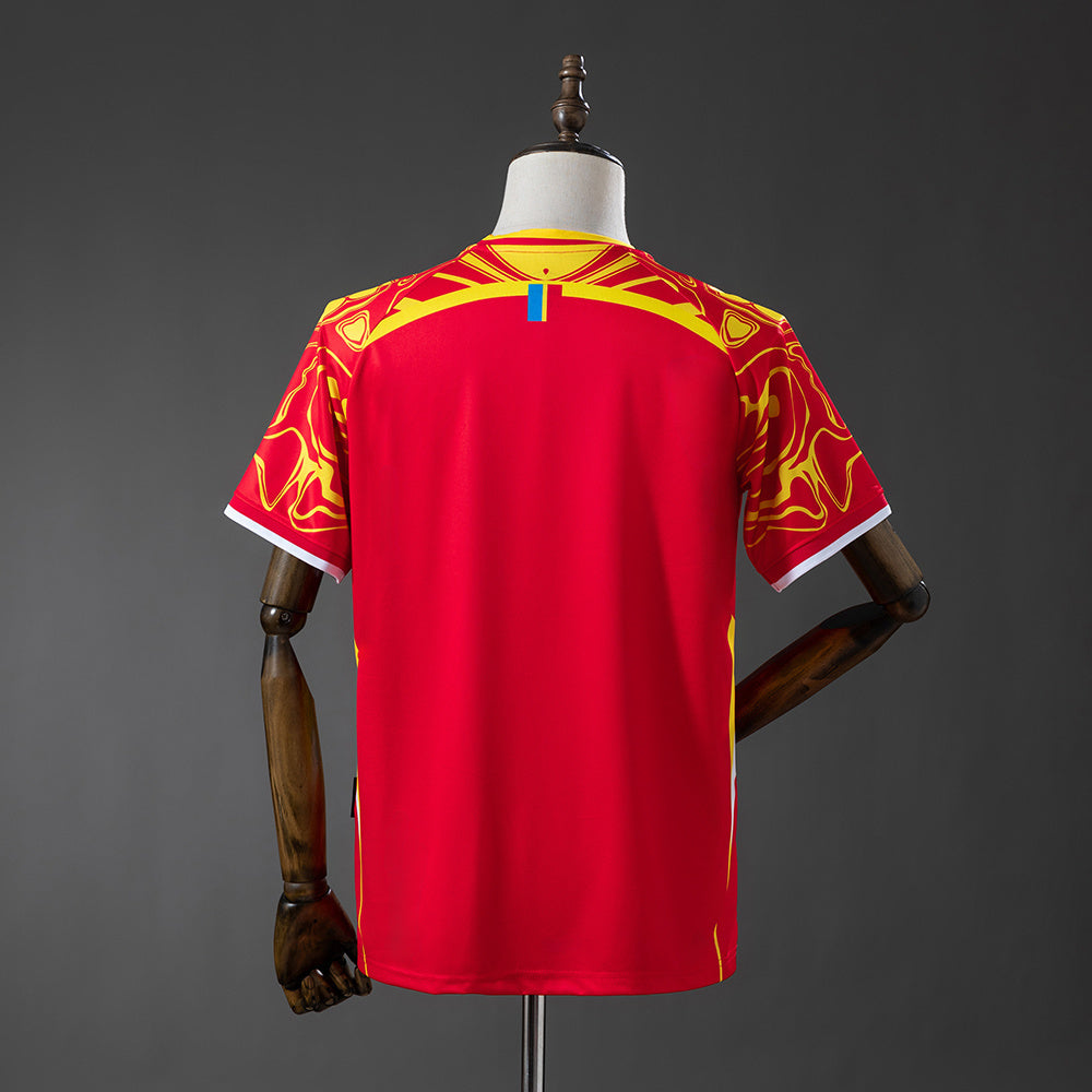 Congo 2026 Red Jersey detail
