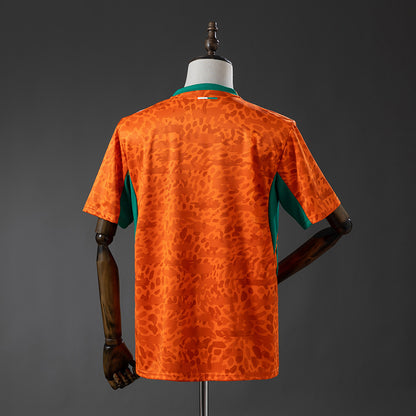 Ivory Coast 26-27 Home Jersey detail