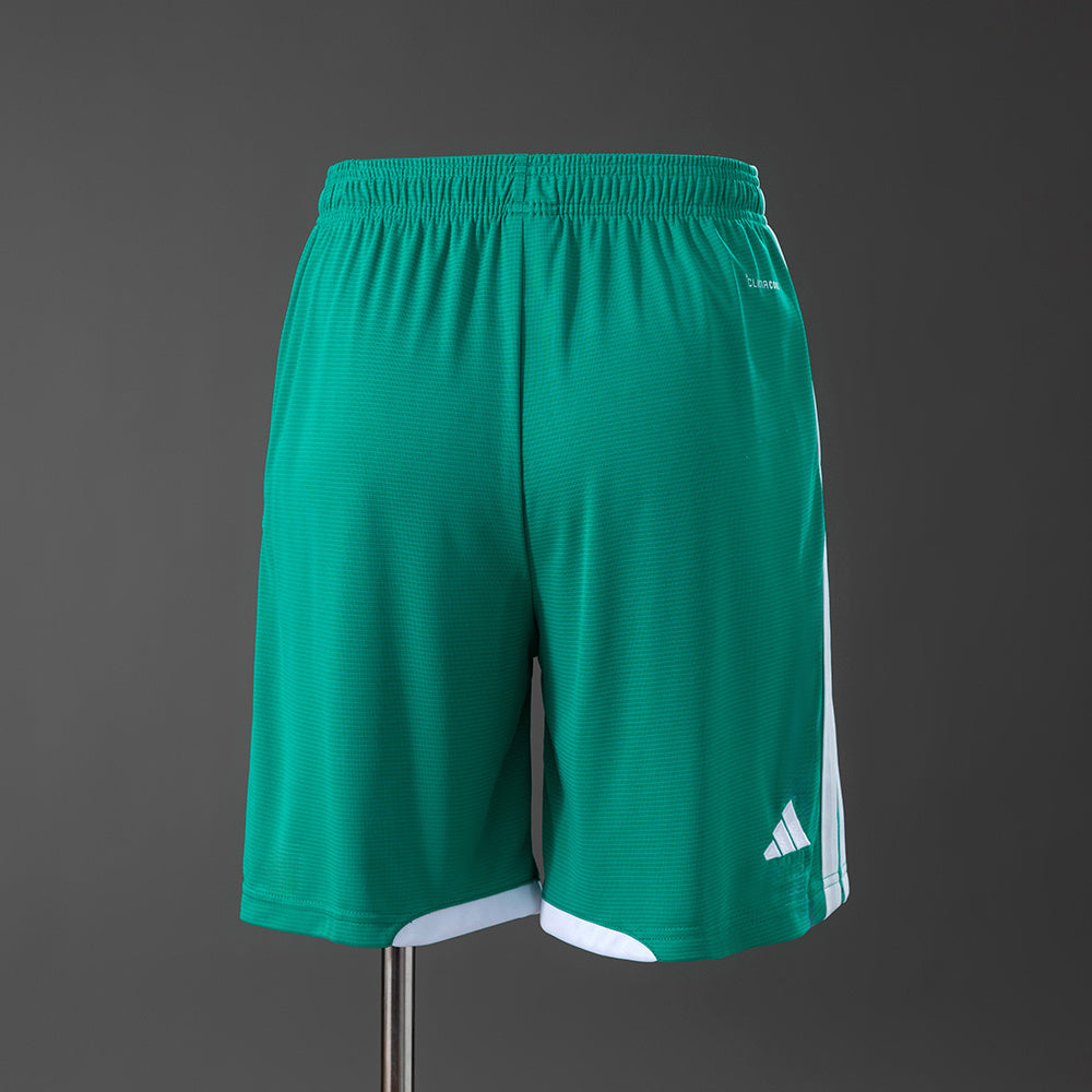 Northern Ireland 2026 Home Shorts detail