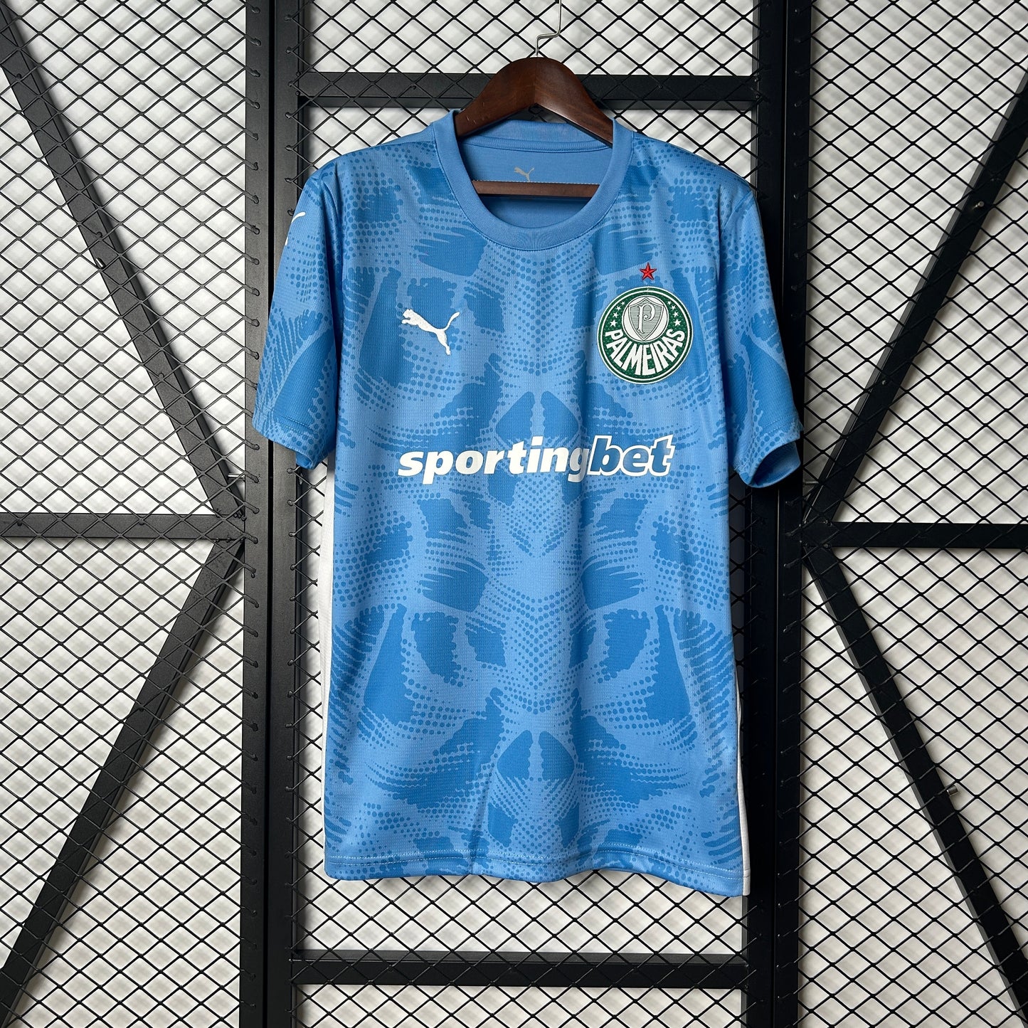 25-26 Palmeiras Goalkeeper